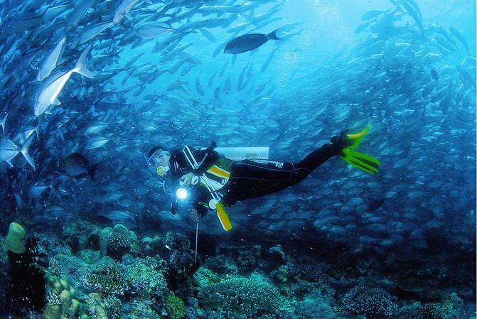 赣锋锂业获小摩增持约131.89万股 每股作价约24.68港元