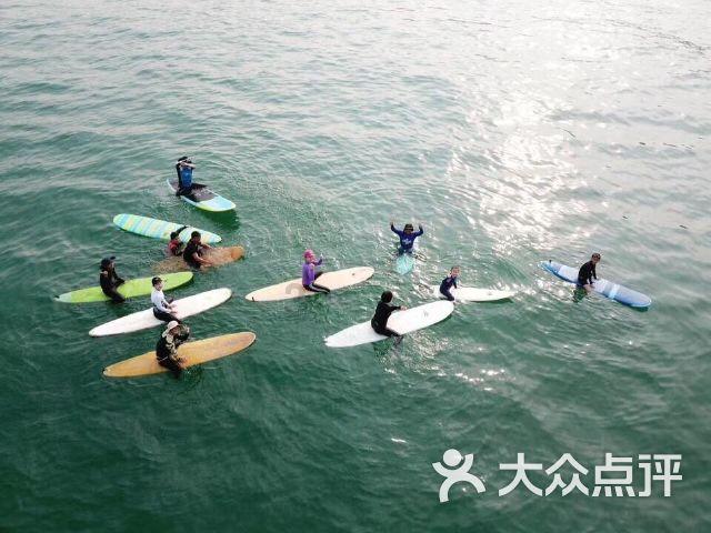 救援小巨鳄